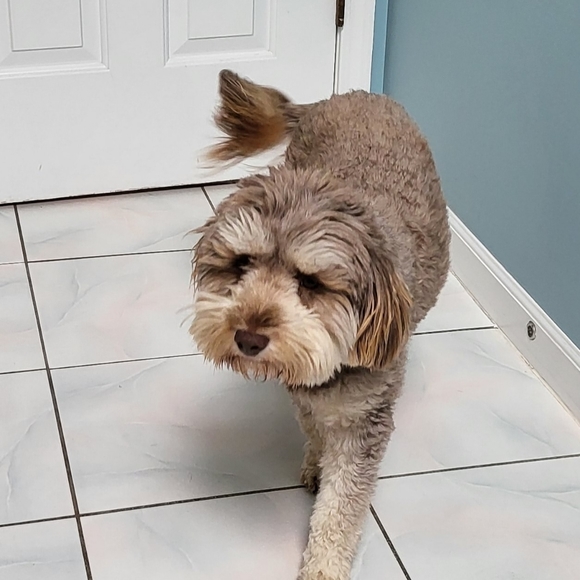 Nothing - Picture 5 of 12